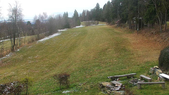 Snímek 21.11.2025 v 08:30