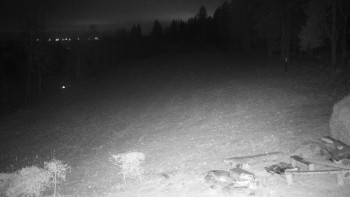 Snímek    21.11.2025 v 17:00