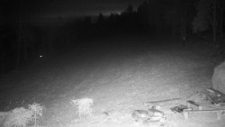 Běžecký lyžařský areál Nová Ves