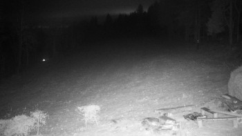 Snímek    21.11.2025 v 21:00