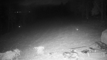 Snímek    22.11.2025 v 04:30