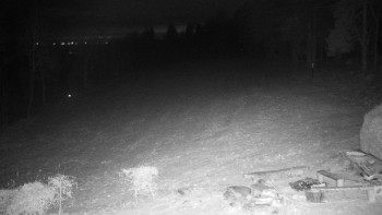 Snímek    22.11.2025 v 19:00