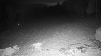 Snímek    22.11.2025 v 23:00