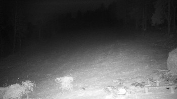 Snímek    23.11.2025 v 20:00