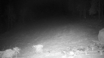 Snímek    23.11.2025 v 21:30