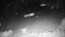 Běžecký lyžařský areál Nová Ves