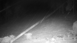 Běžecký lyžařský areál Nová Ves