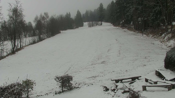 Snímek    24.11.2025 v 11:30