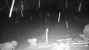 Chata Myslivna SKP Olomouc