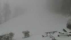 Běžecký lyžařský areál Nová Ves