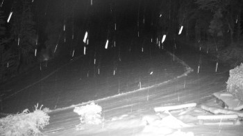 Chata Myslivna SKP Olomouc