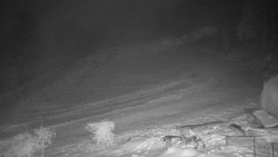 Běžecký lyžařský areál Nová Ves