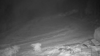 Chata Myslivna SKP Olomouc