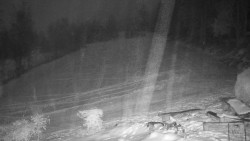 Běžecký lyžařský areál Nová Ves