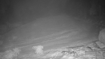 Chata Myslivna SKP Olomouc