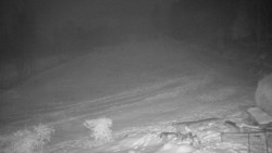 Běžecký lyžařský areál Nová Ves