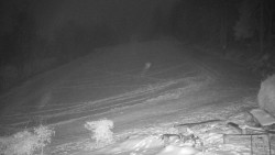 Běžecký lyžařský areál Nová Ves