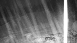 Běžecký lyžařský areál Nová Ves