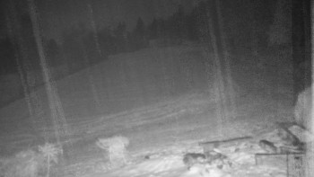 Chata Myslivna SKP Olomouc