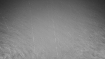 Chata Myslivna SKP Olomouc