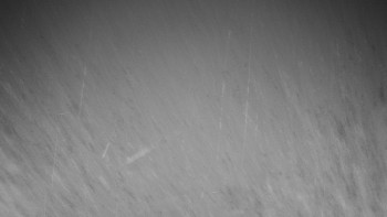 Chata Myslivna SKP Olomouc