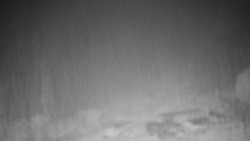 Běžecký lyžařský areál Nová Ves