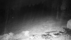 Běžecký lyžařský areál Nová Ves