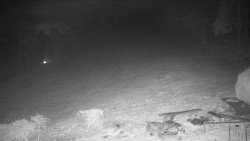 Běžecký lyžařský areál Nová Ves