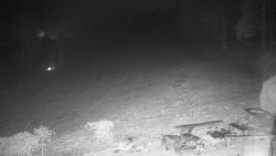 Běžecký lyžařský areál Nová Ves