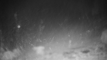 Chata Myslivna SKP Olomouc