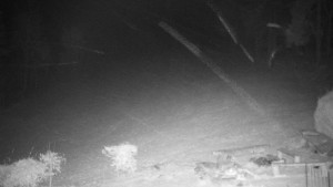 Chata Myslivna SKP Olomouc - Běžecký lyžařský areál Nová Ves - 16.12.2025 v 01:30 Chata Myslivna SKP Olomouc - Běžecký lyžařský areál Nová Ves - 16.12.2025 v 01:30