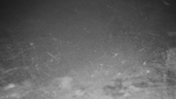 Chata Myslivna SKP Olomouc