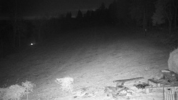 Chata Myslivna SKP Olomouc