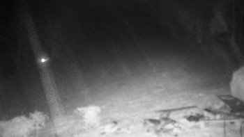 Chata Myslivna SKP Olomouc