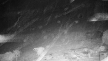 Chata Myslivna SKP Olomouc