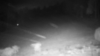 Chata Myslivna SKP Olomouc