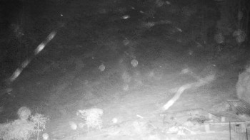 Chata Myslivna SKP Olomouc