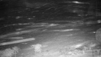 Chata Myslivna SKP Olomouc