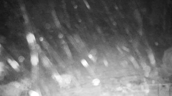 Chata Myslivna SKP Olomouc