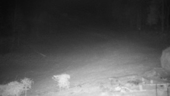 Chata Myslivna SKP Olomouc