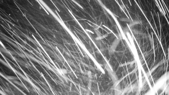 Chata Myslivna SKP Olomouc