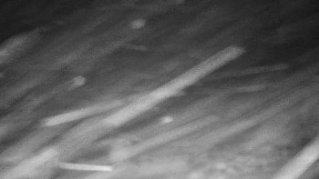 Chata Myslivna SKP Olomouc