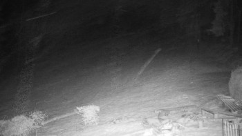 Chata Myslivna SKP Olomouc