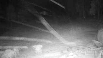 Chata Myslivna SKP Olomouc