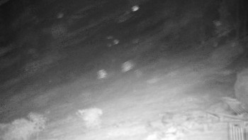 Chata Myslivna SKP Olomouc