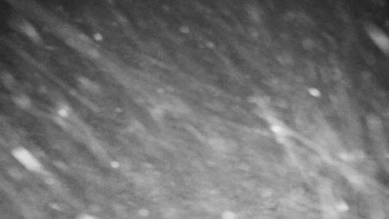 Chata Myslivna SKP Olomouc