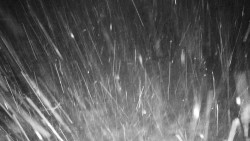 Běžecký lyžařský areál Nová Ves