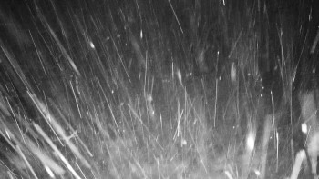 Chata Myslivna SKP Olomouc