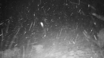 Chata Myslivna SKP Olomouc