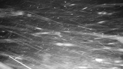 Běžecký lyžařský areál Nová Ves